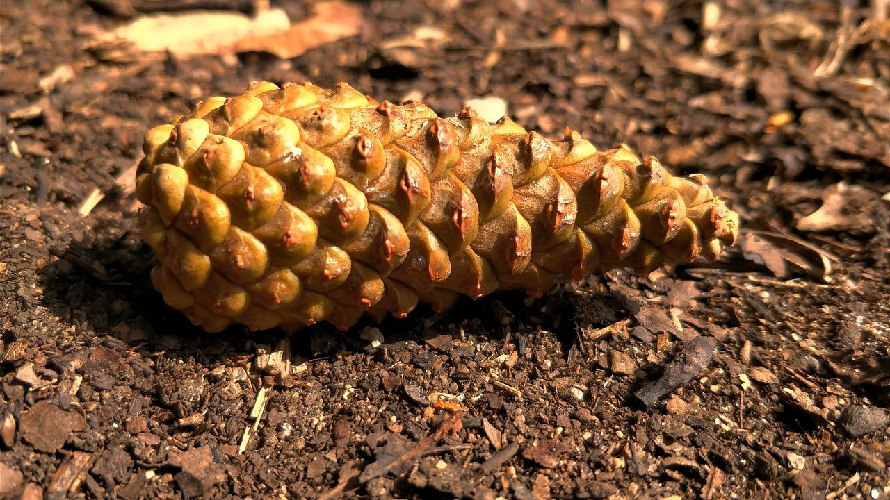 2. 生态宜居社区