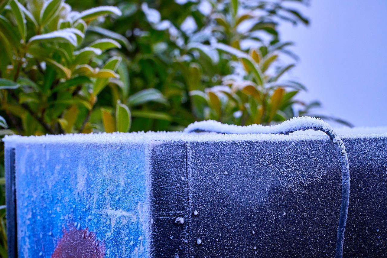 2. 解冻花卉方法