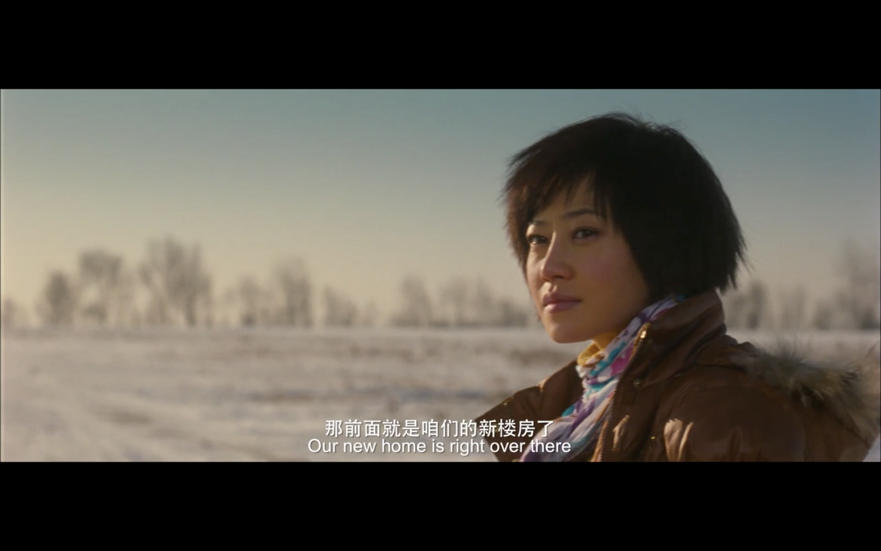 如何评价《hello!树先生》这部电影? - 知乎