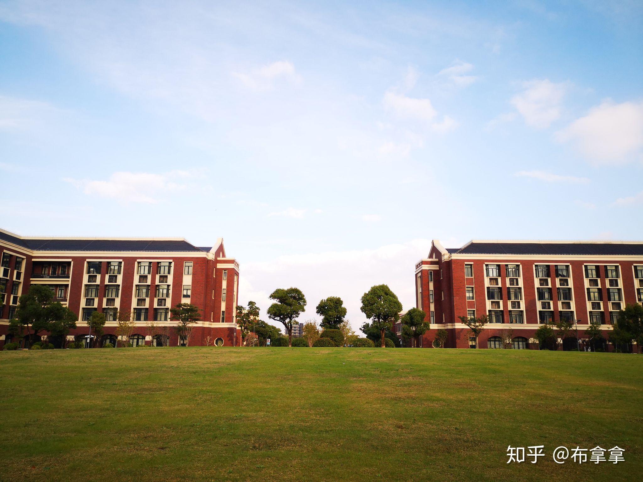 上海建桥学院植物图片