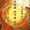 晓飞