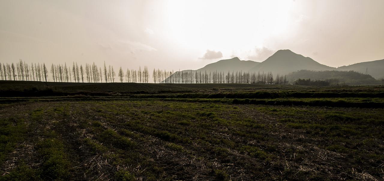 西安莫干山如何代理