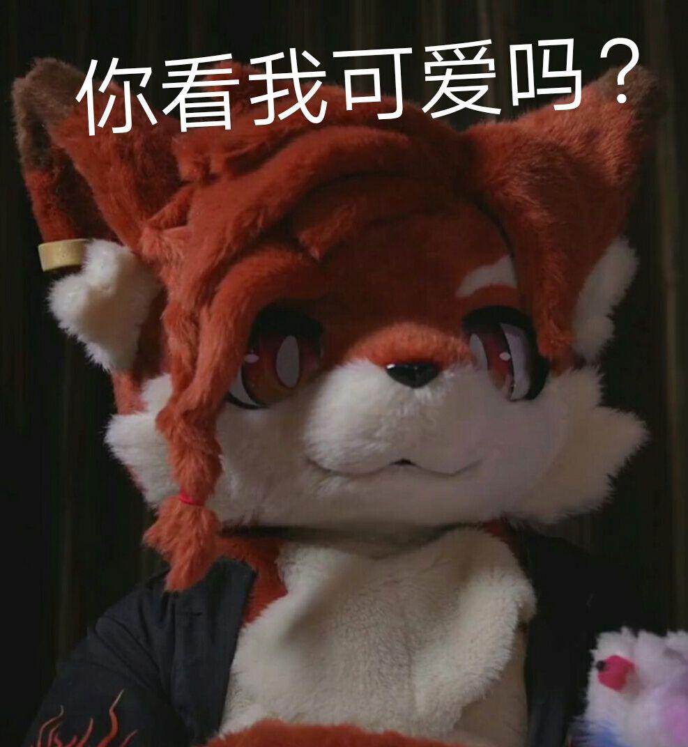 有什么推荐的中国fursuiter