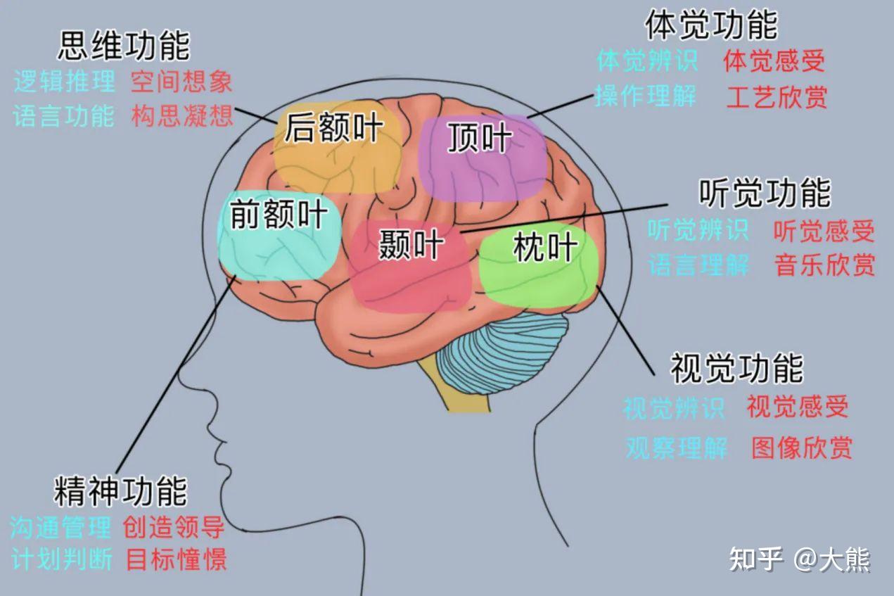 多感官整合下三维记忆、额颞叶临时突触与主意识的形成机制 - 知乎