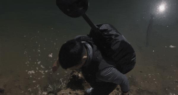 《杀木地》韩国恐影票房第一，也就这水平？