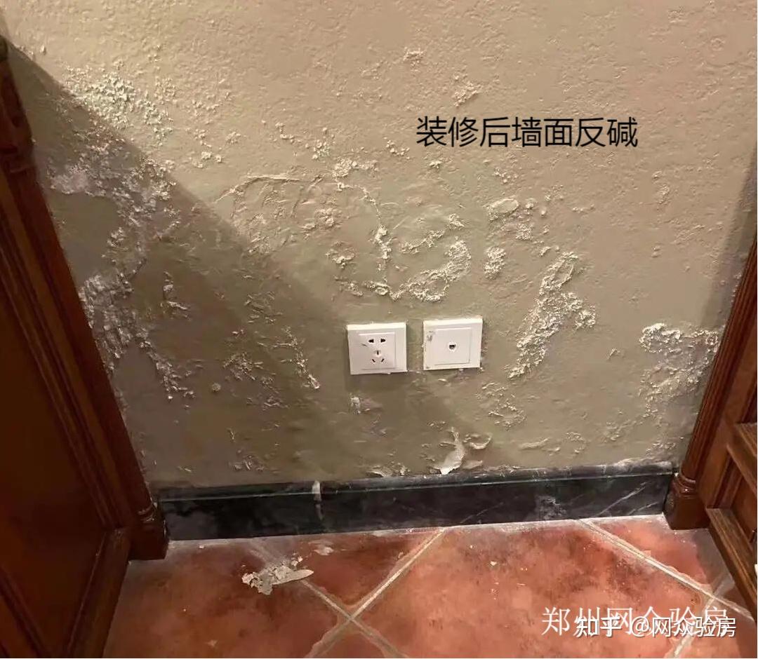 验房小知识 | 墙面反碱 - 知乎