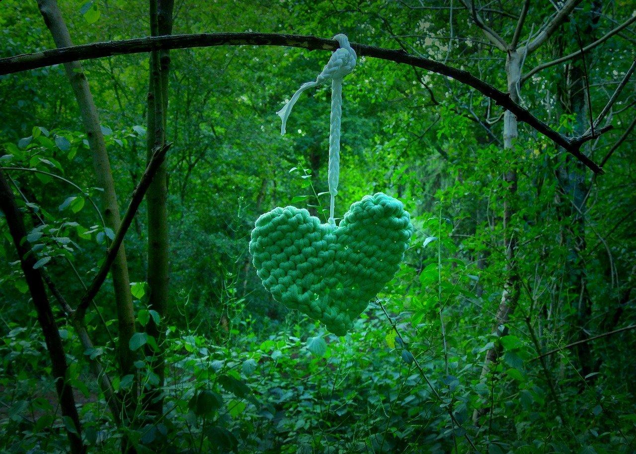 4. 林中社区邻里情