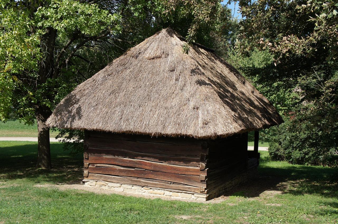 如何在村里买房