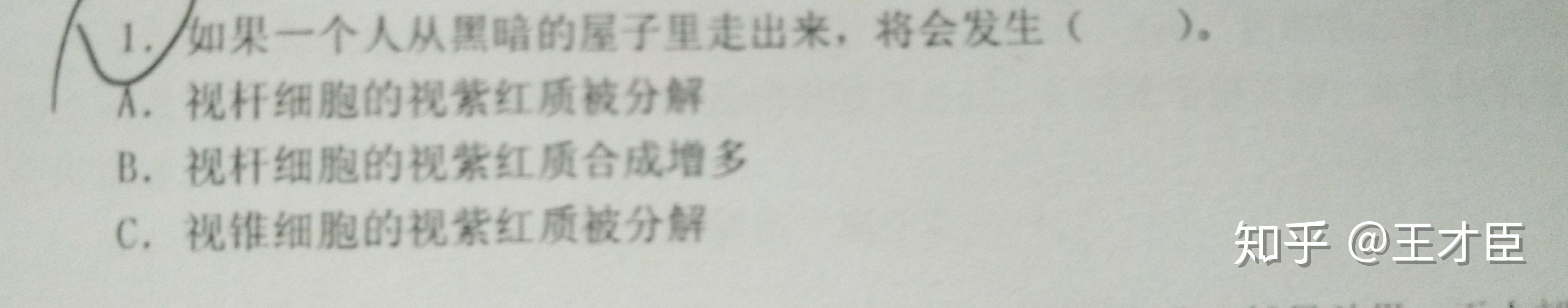 暗适应 - 知乎