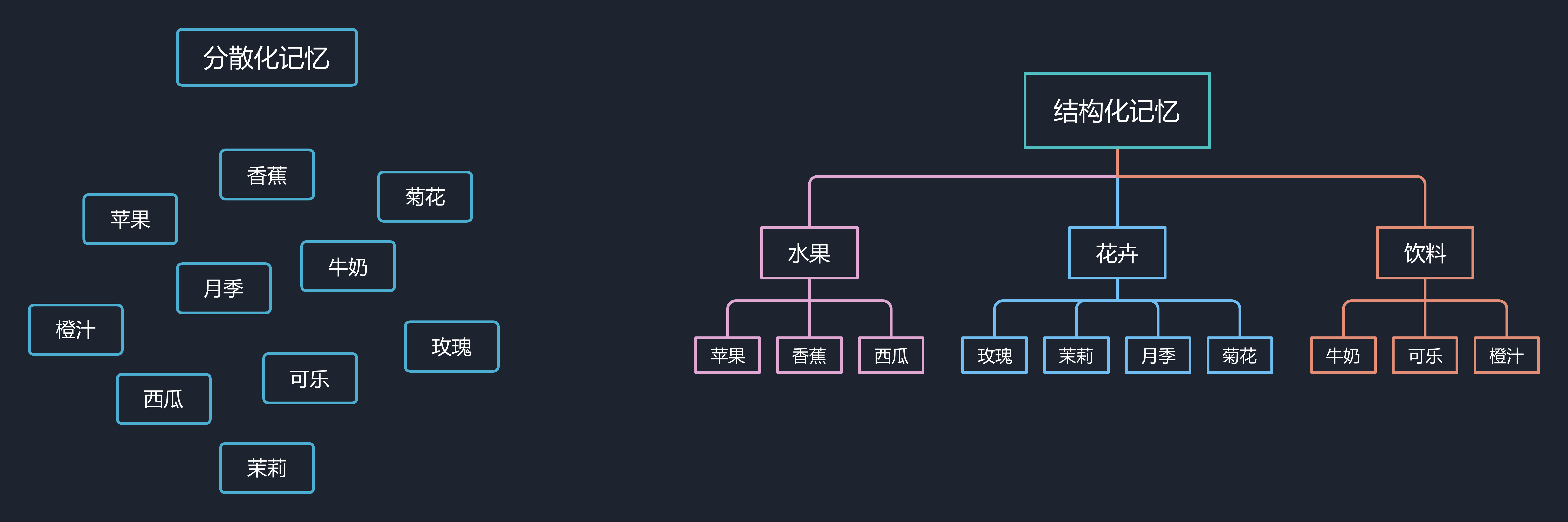 月季的思维导图怎么写图片