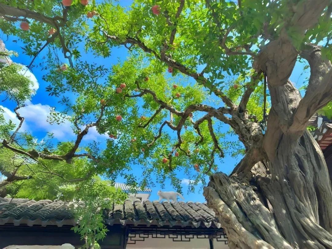 超清8K电脑壁纸原图53张 - 知乎