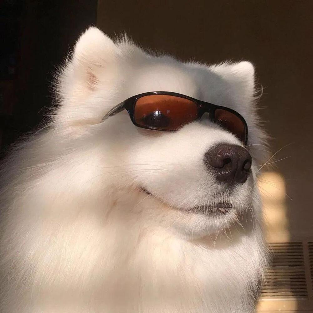 有什么小众又高级的头像?