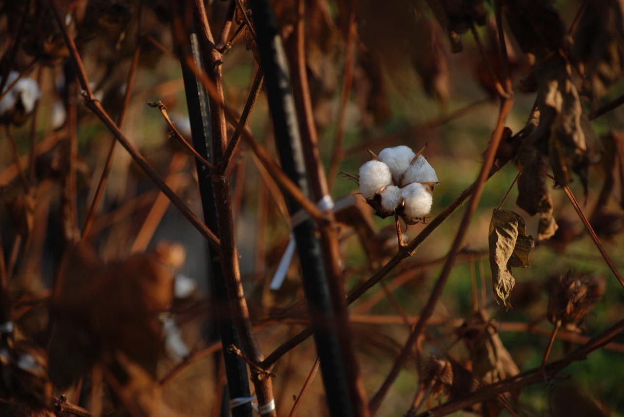 什么叫水洗棉及特点