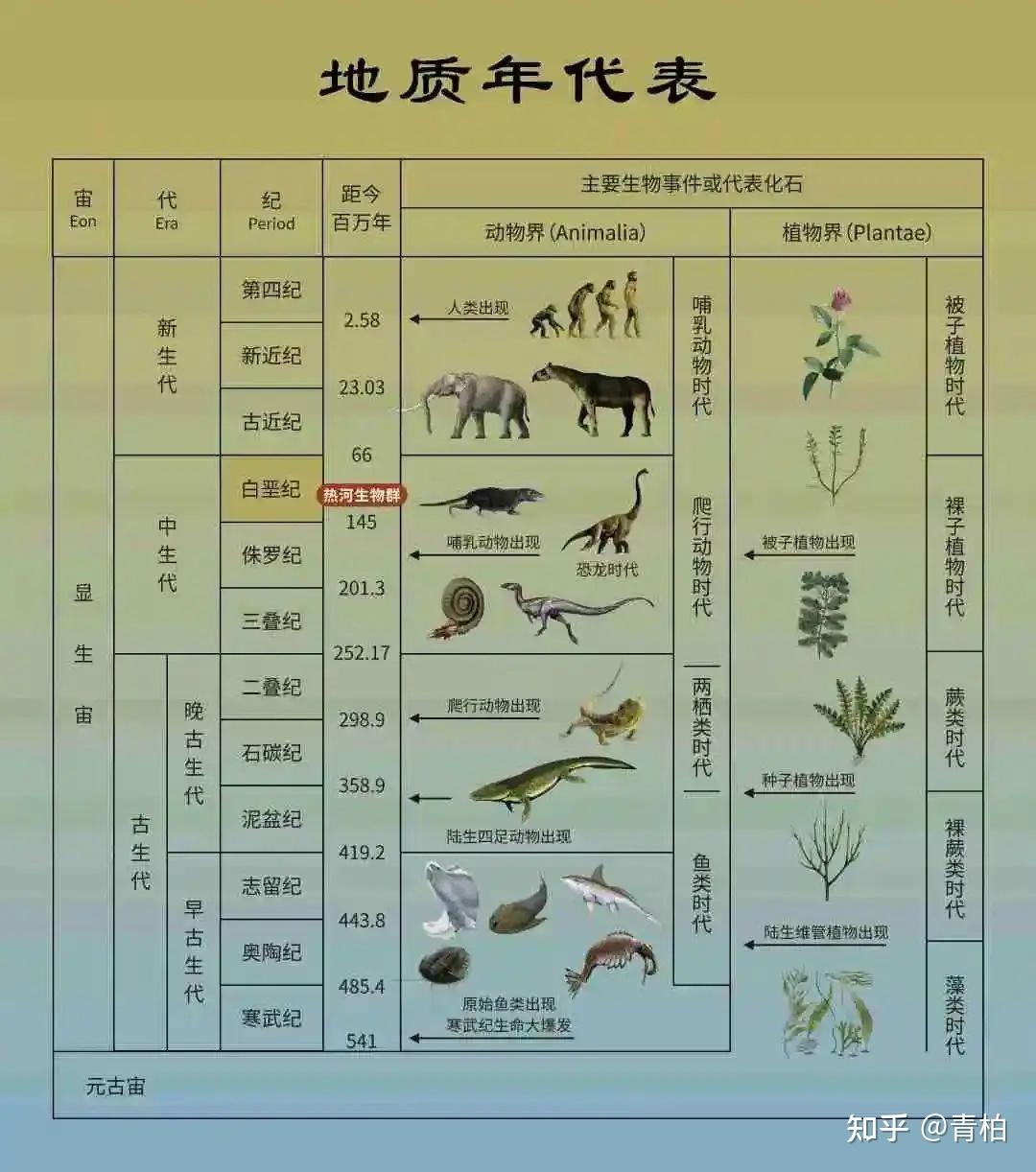 地球生命史——二叠纪,从天堂到地狱,地球生命史上的至暗时刻,90%的物种灭绝 - 知乎