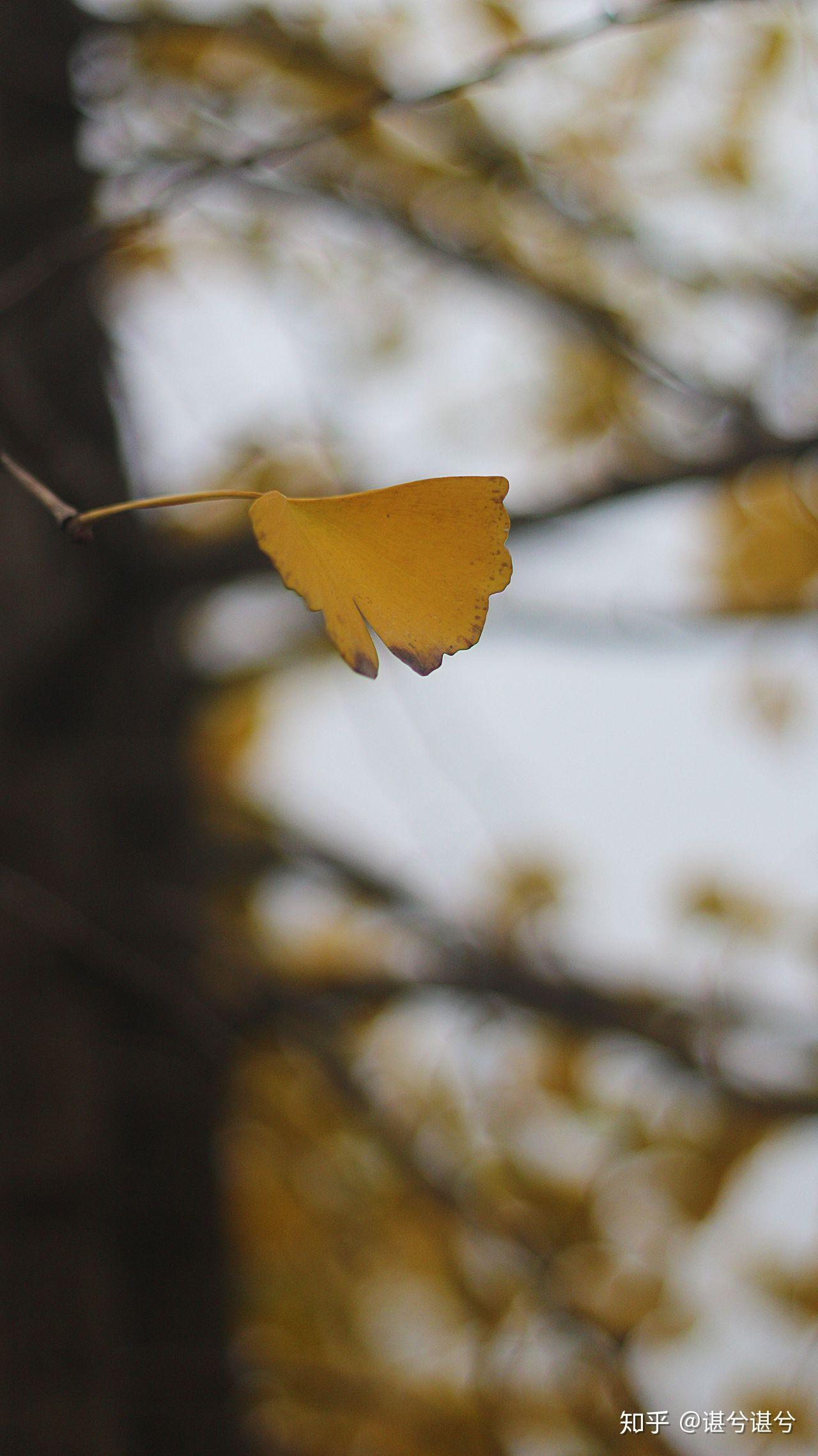 在你的摄影生涯里,用50mm定焦镜头拍出过哪些满意的作品?