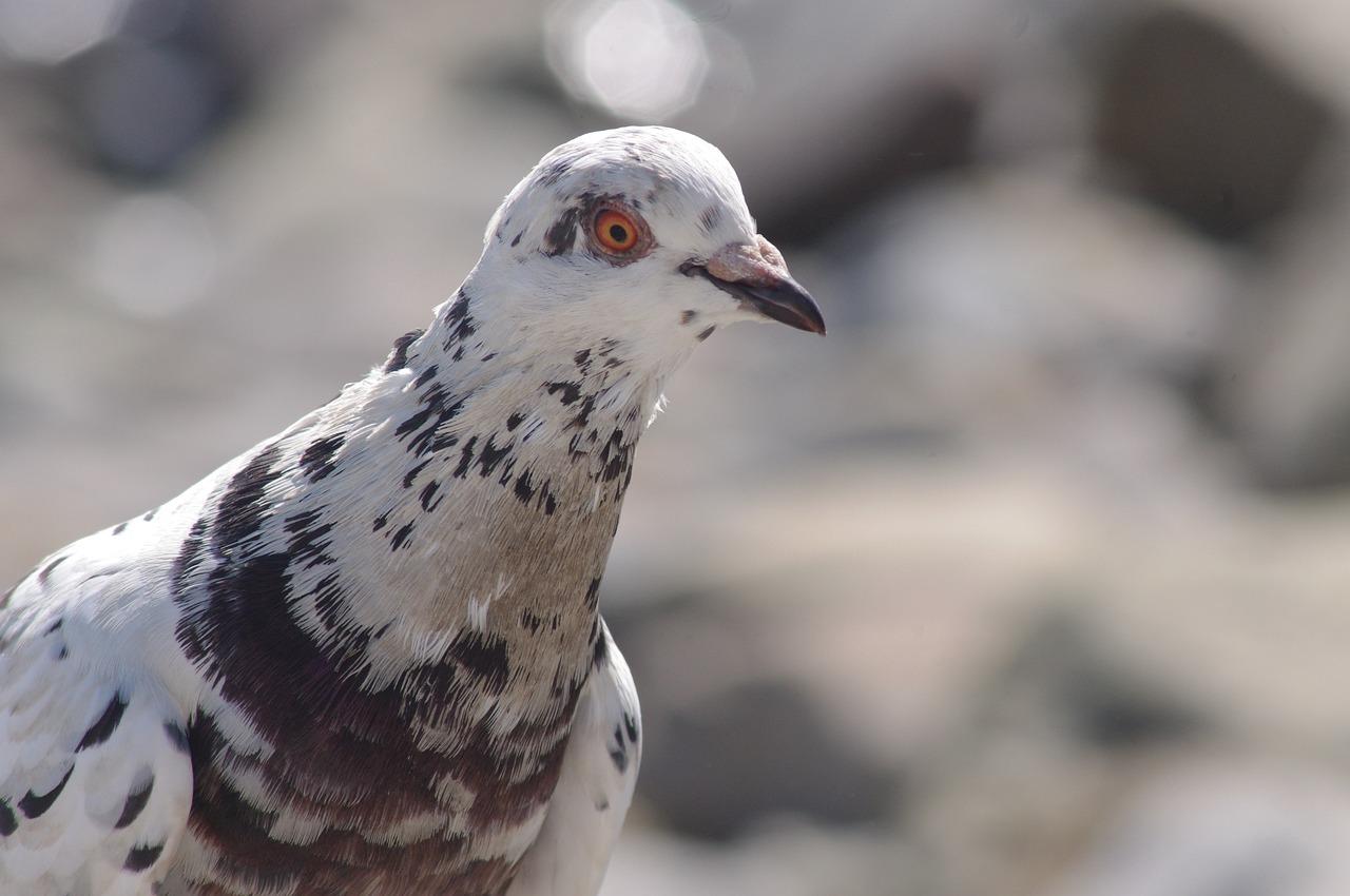 2. 中性色替代绿