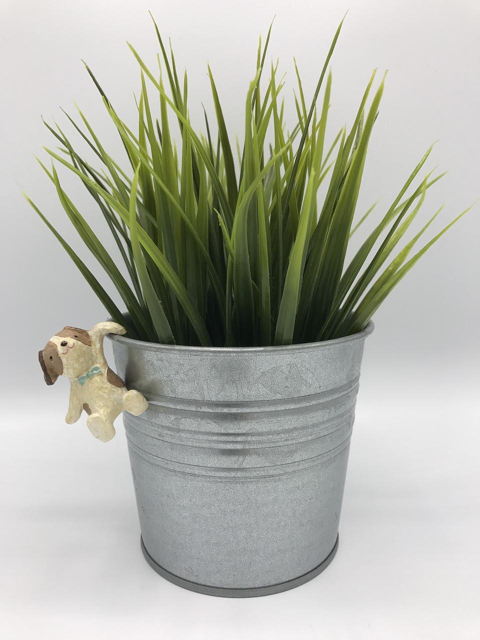 怎么看联想电脑型号