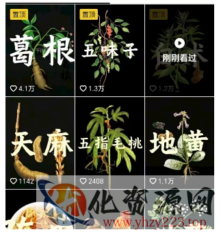 抖音中草药赛道，用AI做中草药故事视频，45条作品涨粉13W，橱窗带货猛猛出单