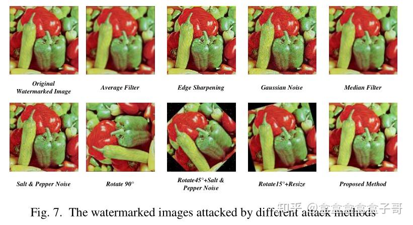 【论文翻译】Concealed Attack for Robust Watermarking Based on Generative ...