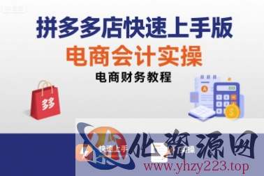 拼多多店快速上手版电商会计实操-电商财务教程