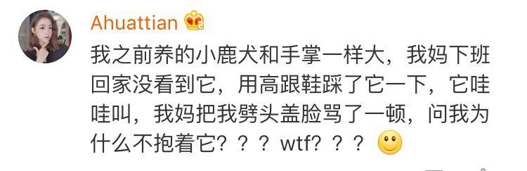 包含逼什么为什么的词条 包含逼什么为什么的词条
