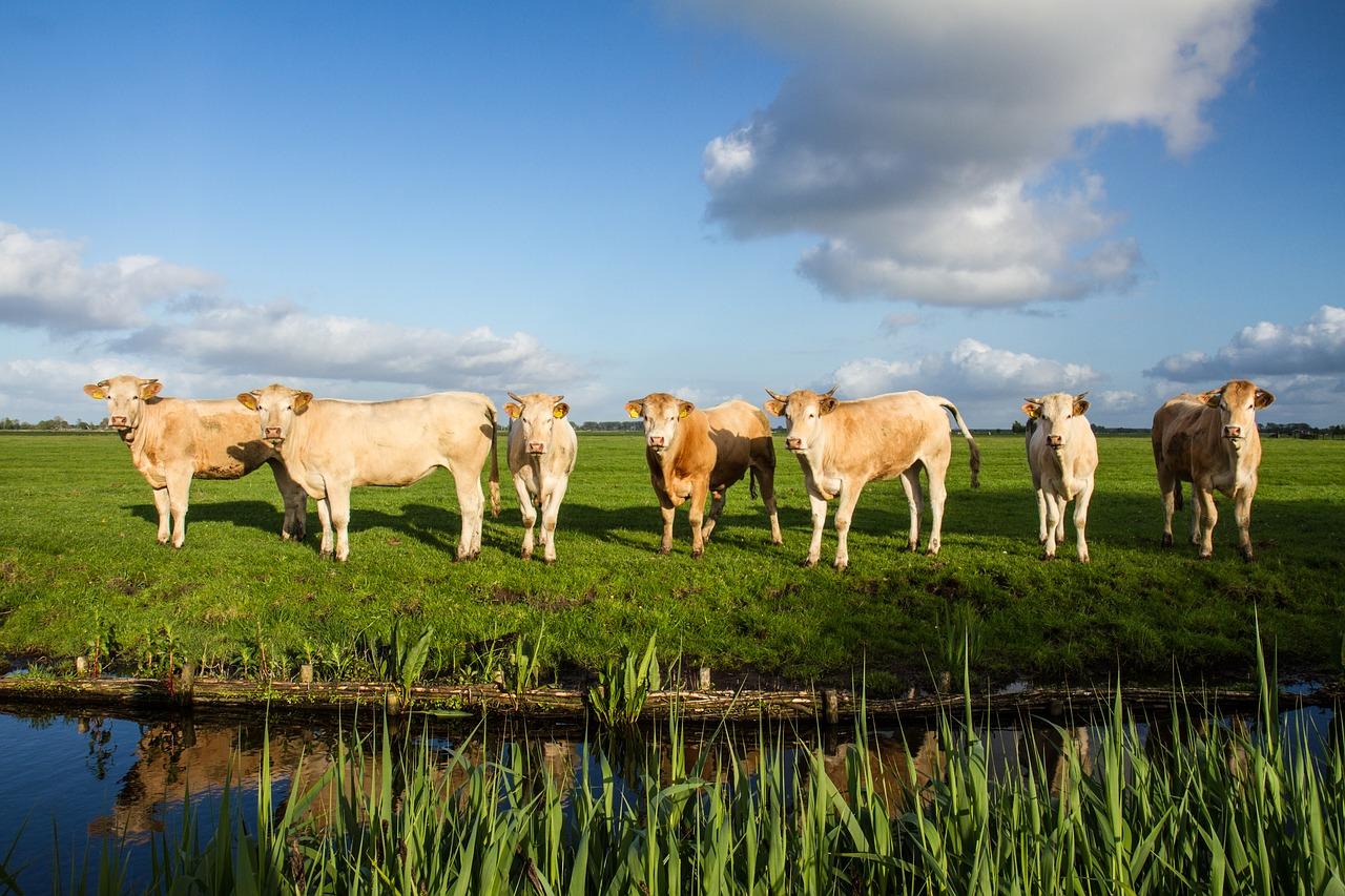 3. 龙江圩学区房