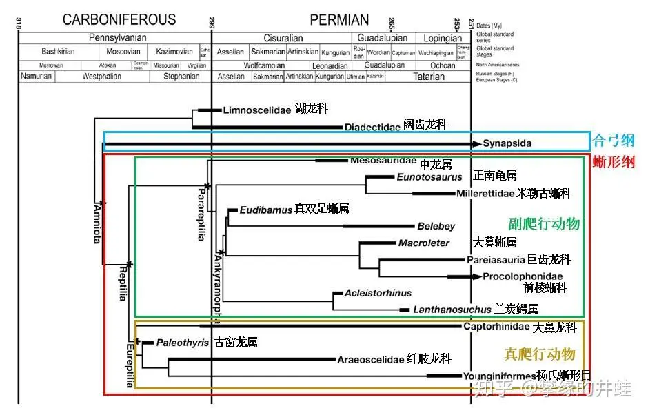 二叠纪四足动物——蜥形纲初探海空，龙形类静静潜伏 - 知乎
