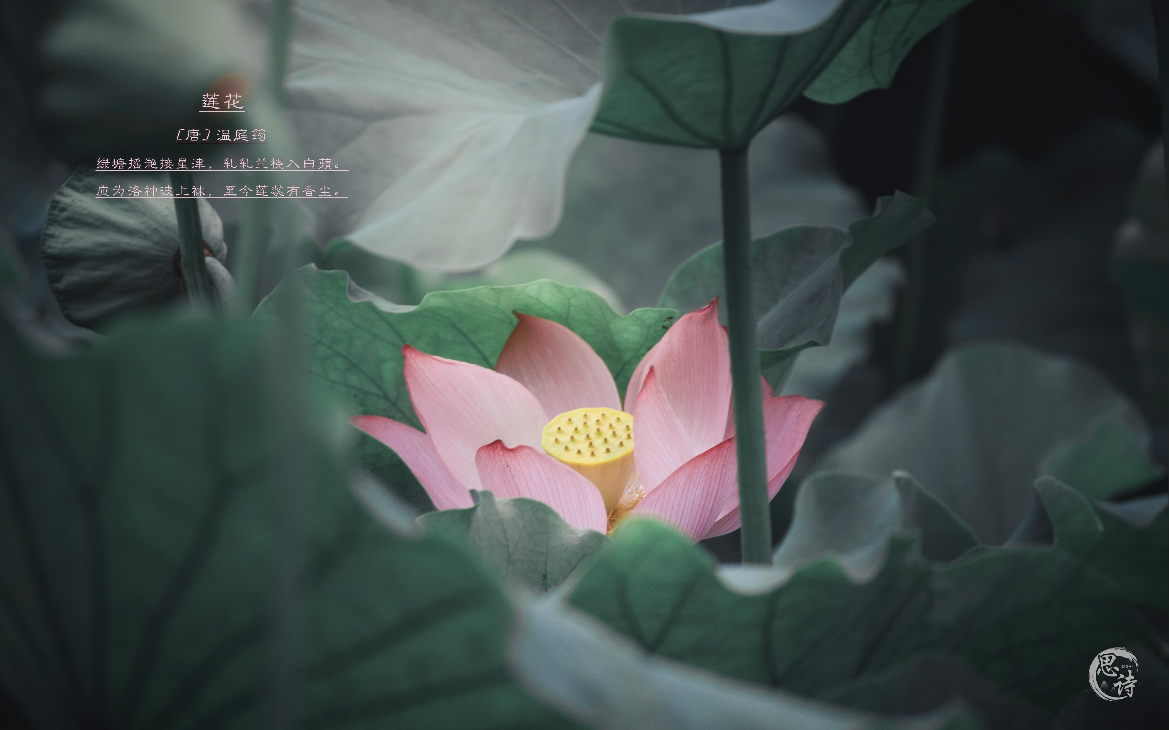 大家有没有色彩对比强烈的中国风电脑壁纸? - 知乎