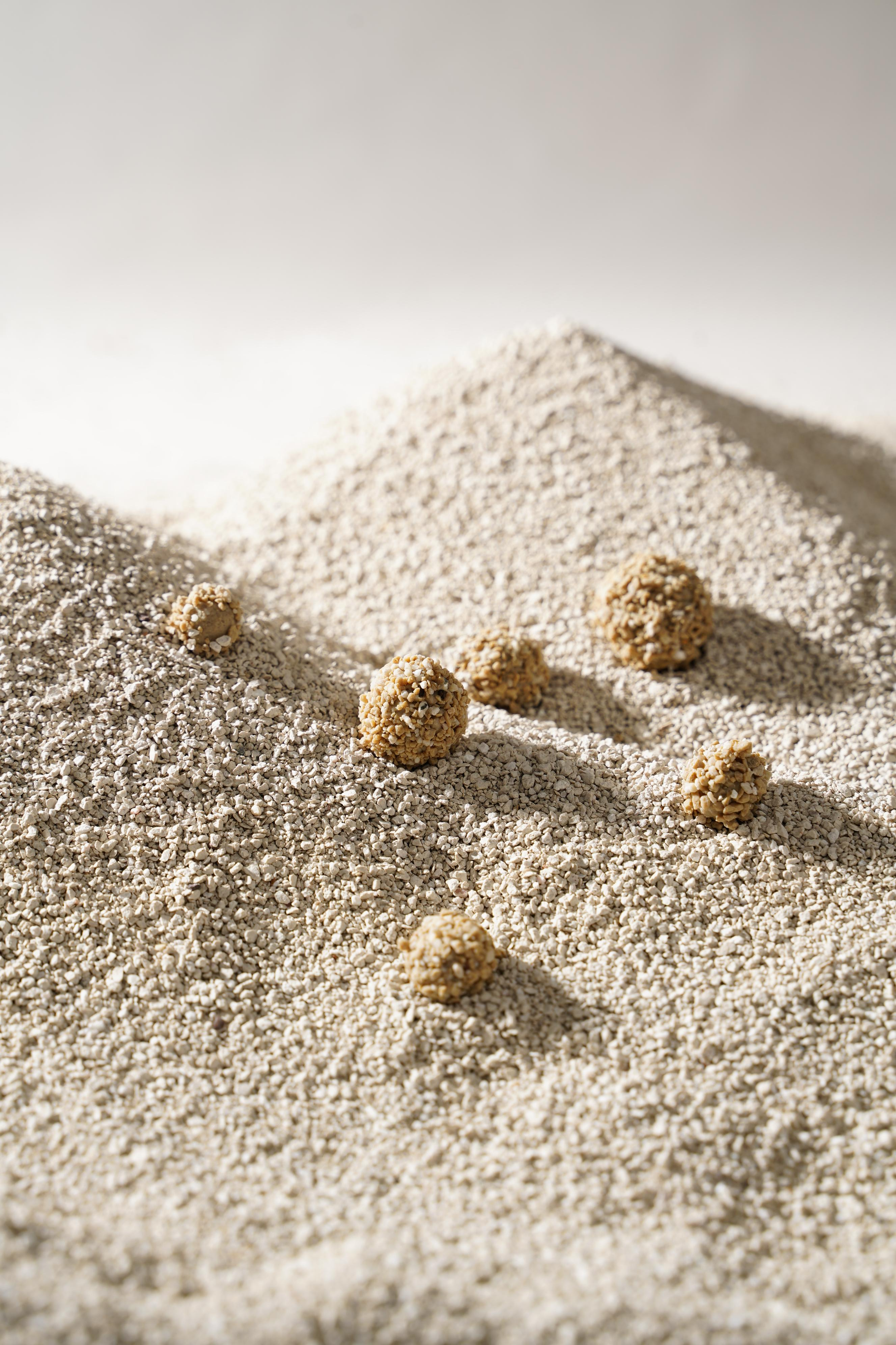 小猫吃猫砂是什么原因