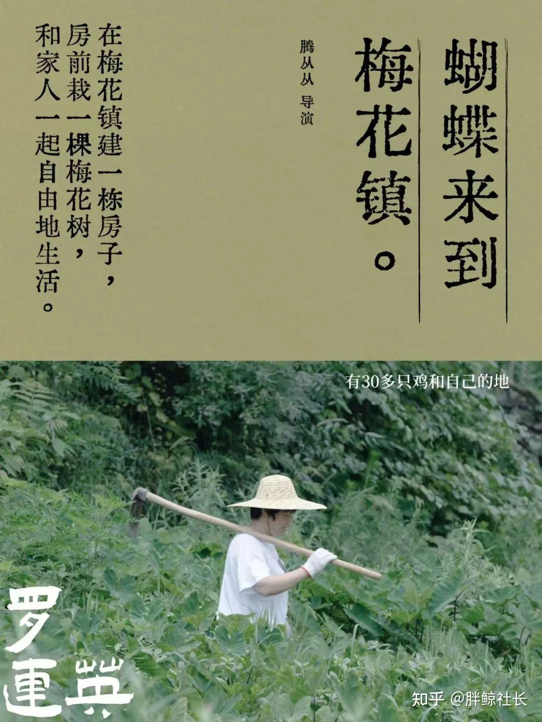 裘真的“反精英叙事”,如何打动精英? - 知乎