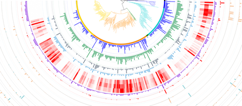 如何画物种进化树？ - 知乎