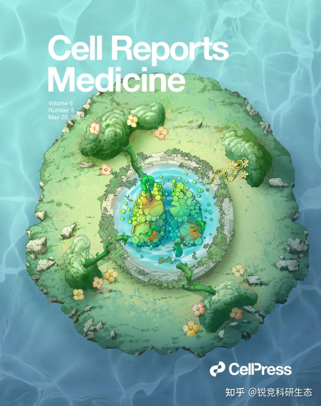 《Cell Reports Medicine》封面设计全过程分享 | Vol.6 No.5 - 知乎