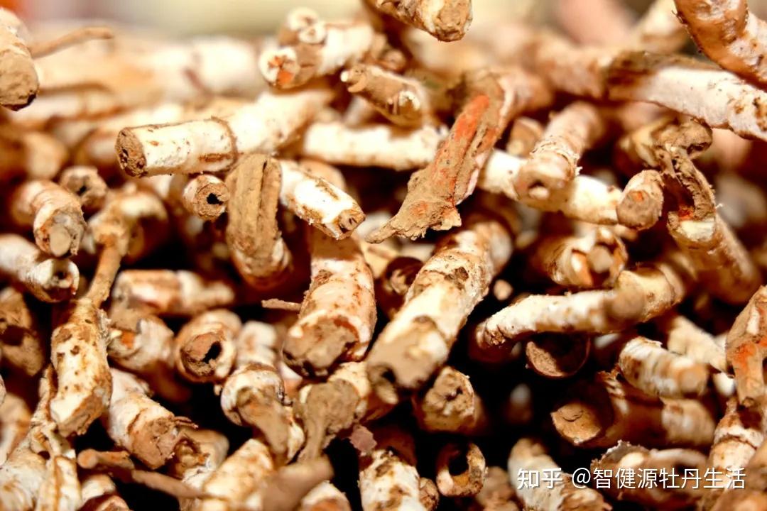 凤丹牡丹:千年传承的天然食药妆新宠 - 知乎