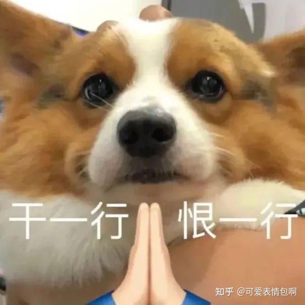 100个抽象日常用的表情包 - 知乎