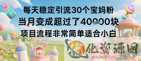 每天稳定引流30个宝妈粉当月变成超过了1W+项目流程非常简单适合小白