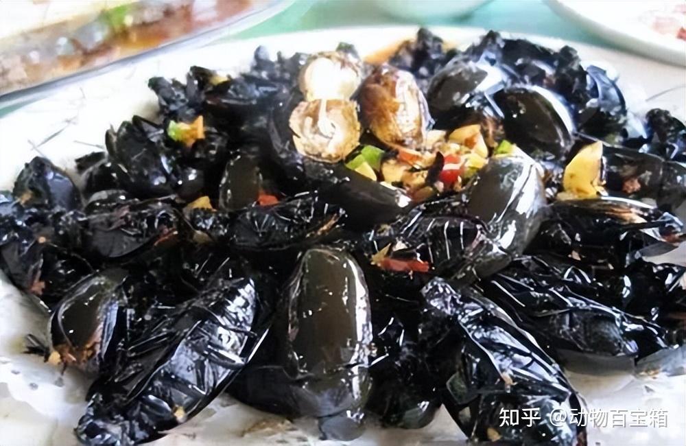 "龙虱"一名之由来? - 知乎