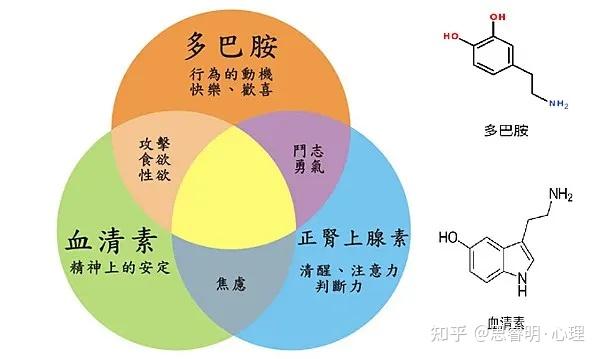 多巴胺也有“阴暗面”?过多过少都有事! - 知乎
