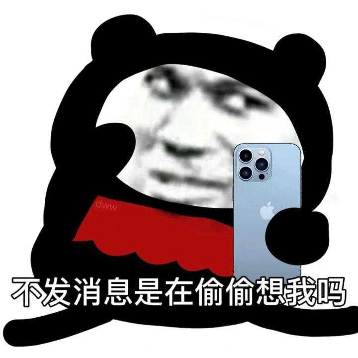 表情包合集不发消息是在偷偷想我吗