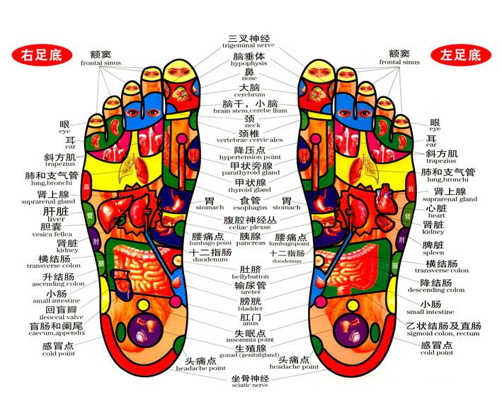 足底到底有多少穴位- 知乎