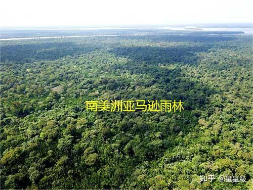 世界十大森林 森林景色迷人被誉为“地球之肺” - 知乎