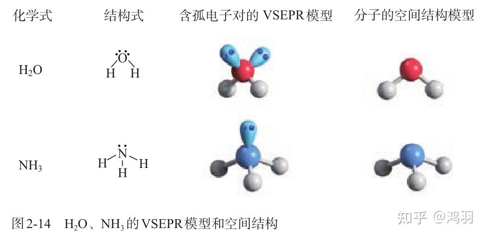 选择性必修2 第二章 第二节 分子的空间结构 - 知乎