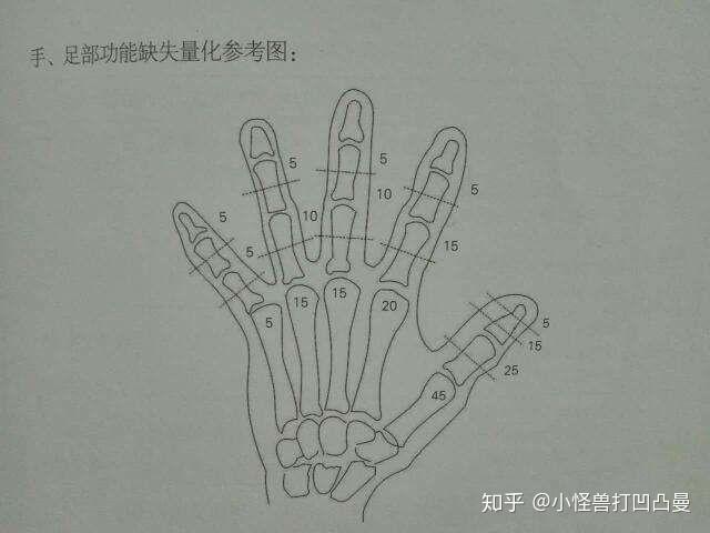 左手拇指末端骨折能评到10级伤残吗?