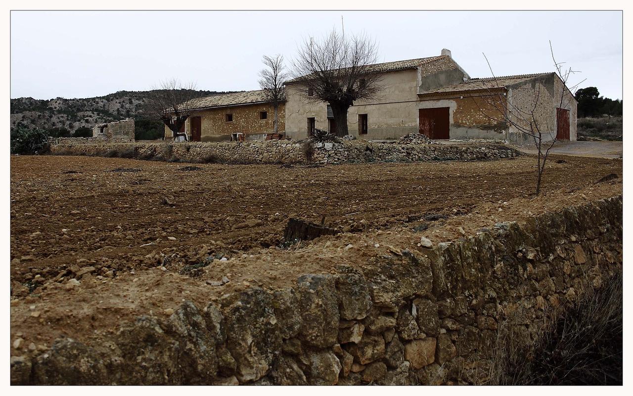 物业服务质量？