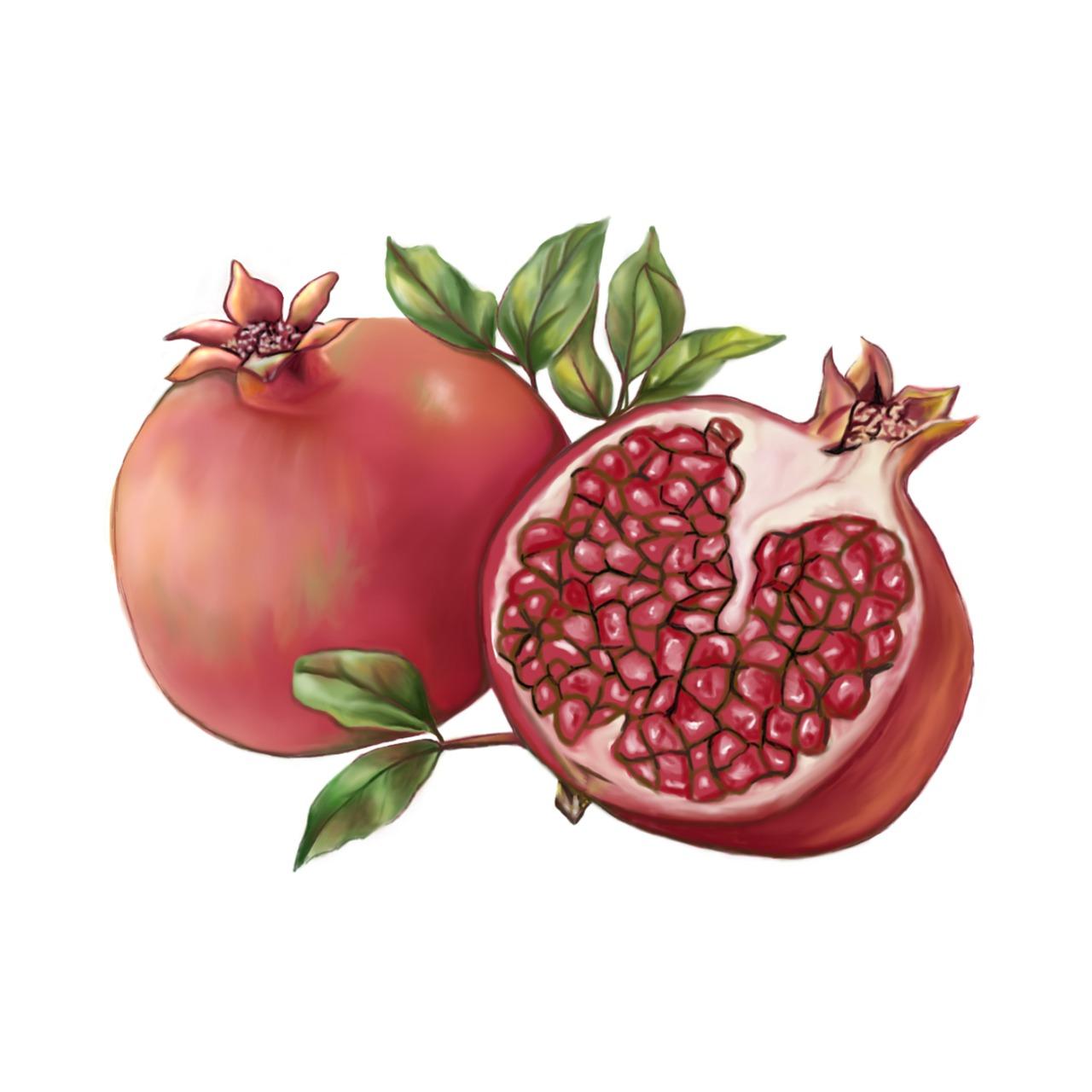 3. 酸枣批发价格