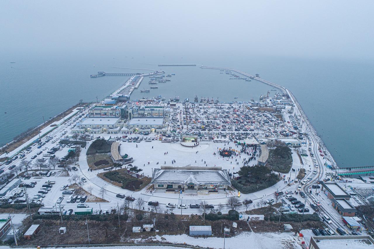 炎炎夏日，绿意盎然