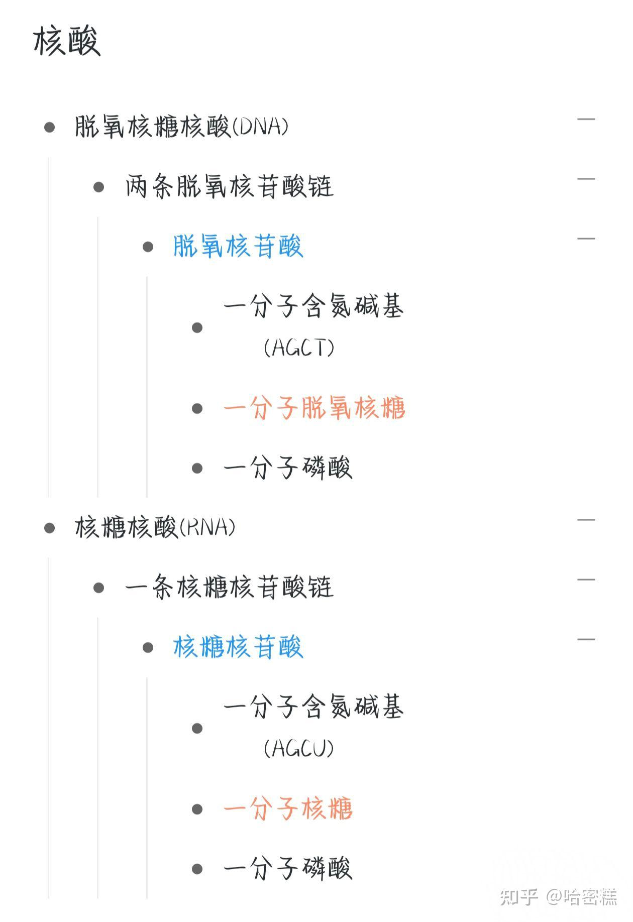 脱氧核糖和核糖到底是什么?脱氧核苷酸和核糖核苷酸又是什么?
