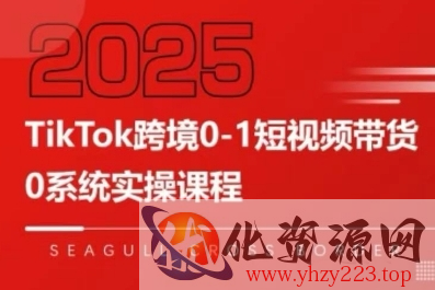 TikTok跨境0-1短视频带货，系统拆解TikTok跨境带货全链路，实现跨境可持续盈利