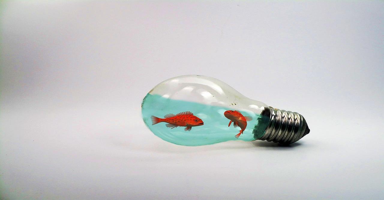 3. 水族照明灯具