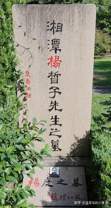 如何看待杨度这个人是庸还是财是小人还是国士