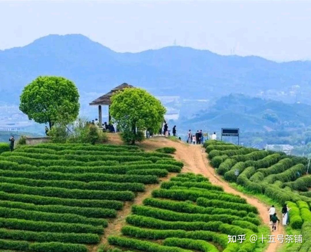 以诚为本为何那么重要，对未来数字化经济有何影响？ - 知乎